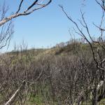 Wilson Promontory Park